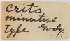 Other on Pogonella minuta (Goding, 1903): (Observation).