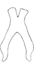 Connective on Dagama capensis (Walker, 1851): Connective. (Observation).