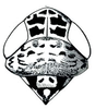 Head: Hebecephalus signatifrons, head, pronotum, and mesonotum, dorsally. (Observation).