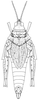 Chrotogonus (Chrotogonus) senegalensis senegalensis Krauss, 1877: Page 47, Figure 2. female, dorsal view. (Otu).