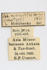 CollectionObject 1593062; 132b6611-9148-4264-9414-10c8d3d66997: labels (paratype). (CollectionObject).