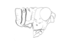Brakeracris varablancensis Rowell, 1995: Fig. 4B. male head and pronotum, lateral view. (Otu).