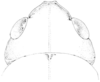 Brachystola magna (Girard, 1854): Fig. 374. male, head, dorsal view. (Otu).