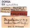 CollectionObject 1576332; c0f60e26-6961-477f-b980-05dfd6fa03be: labels (paratype). (CollectionObject).