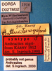 CollectionObject 1572595; 973ecbc7-9e4d-40b8-a43d-4913171a29f4, DORSA D02TM02: labels (syntype). (CollectionObject).