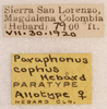 CollectionObject 1565004; e52772cb-9160-4c76-9bd5-898d01f4b656: labels (allotype). (CollectionObject).