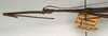 Diardia diardi (Haan, 1842): copyright NMW, Vienna. male: head and thorax, lateral view of synonym Diardia signata (syntype). (Otu).