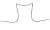 Syntomacris vittipennis Walker, 1870: Fig. 4. male, mesosternal space. (Otu).