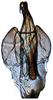 Aedeagus, ventral view on Bundera onukiiformis Dietrich, Nguyen & Pham, 2020: holotype, posterior view. (Observation).