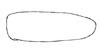 Subgenital plate, ventral view on Carapona colombiana Freytag, 2012: Male: subgenital plate, ventral view. (Observation).