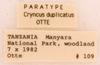 CollectionObject 1961577; 7373eadf-d4f9-4901-8ff9-5d8a9b007c4e, ANSP008_GRYLL_ANSP: Female, labels (paratype). (CollectionObject).