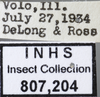 Other: Labels. Labels for the specimen used for the dorsal, lateral and face images. (Observation).