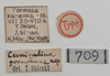 CollectionObject 1561664; NTUC 709, de4ff78e-e94d-4e85-8b94-37b567dfe607: copyright NTUC. female, data labels (holotype). (CollectionObject).