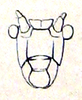 Ityocephala nigrostrigata (Walker, 1871): Pl. III, Fig. 11 b. female face (Ityocephala falcata). (Otu).
