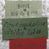 labels (syntype). Depicts CollectionObject 1531475; 3ce27c30-472f-4704-a1d8-b71639751de7, a CollectionObject.