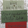 CollectionObject 1531475; 3ce27c30-472f-4704-a1d8-b71639751de7: labels (syntype). (CollectionObject).