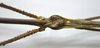 CollectionObject 1562670; 20603ec3-01e3-46c9-bf48-c588a60e8d8e: copyright FRIM. male: mid body of synonym Pharncia chiniensis (paratype). (CollectionObject).