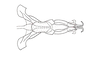 Dichroplus paraelongatus Carbonell, 1968: Fig. 79. endophallus, ventral view. (Otu).