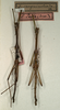 CollectionObject 1589222; NMW 655', 4f6e07bd-0b60-4a7d-beb0-83fc4abc10da: copyright NMW, Vienna. male (lectotype, on left and paralectotype). (CollectionObject).