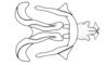 Eurotettix concavus Cigliano, 2007: Fig. 8AK. endophallic plate, cingulum and aedeagal valves with sheath, dorsal view. (Otu).