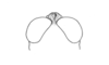 Propedies bilobus (Giglio-Tos, 1897): Fig. 31A. head of male, dorsal view. (Otu).