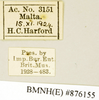 CollectionObject 1573041; 9623e8e5-f707-404a-a226-0231b942f4e7: Copyright Natural History Museum, London. Labels from non-type (adult female) in BM(NH). (CollectionObject).