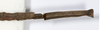 CollectionObject 1559001; 11854f69-fd51-4979-b3b0-4565cb6cf245: copyright MHNG Geneva. female: end of abdomen, dorsal view (holotype). (CollectionObject).