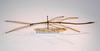 CollectionObject 1561639; 1a246c12-fbec-4aa2-8590-26a4d70b5420: copyright MNCN, Madrid. male, lateral view of synonym Clitumnus laevigatus (syntype). (CollectionObject).