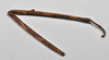 CollectionObject 1558585; NTUC 719, eb6f0012-b2b7-495b-835a-b789b0b39b78: copyright NTUC. female, hind leg (holotype). (CollectionObject).