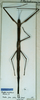 CollectionObject 1558843; a8f9c243-5f11-4f49-a66f-cec5564dd225: copyright CUMZ, Cambridge. female (paratype). (CollectionObject).