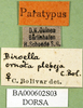 CollectionObject 1589653; 00e3a117-a9c7-4207-8f9c-b7b55b78b45e: labels (paratype). (CollectionObject).