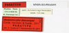 CollectionObject 1573618; 72ab0486-28a3-40cb-8327-4c1b3982e8fe: copyright MNHN, Paris. female, data labels (paratype). (CollectionObject).