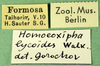 CollectionObject 1501912; 57c6d135-0343-4fe4-9e85-a4f637f4d73a: labels. (CollectionObject).