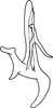 Aedeagus, lateral view on Arboridia (Arboridia) anteoculara Song & Li, 2013: from Song & Li, 2013a: 232. (Observation).