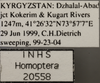 Other on Cyanidius cyanescens (Emeljanov, 1962): Labels. (Observation).