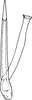 Aedeagus, ventral view on Shaddai typicus Distant, 1918: Aedeagus, ventral view. (Observation).
