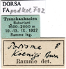 CollectionObject 1578446; d19697c2-d24d-4163-bc6c-5d46bc7fd429: labels. (CollectionObject).