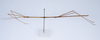 CollectionObject 1559066; 4416745c-266d-40cf-a6f4-f0b409ae828e: copyright ZMUH, Hamburg. male, lateral view of Lonchodes longiceps (holotype). (CollectionObject).