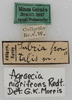 CollectionObject 1564281; 0ea3a610-1413-4230-96a9-e78539a76247: labels. (CollectionObject).