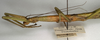 CollectionObject 1559576; 83d15f0c-9efe-47be-a0fe-7425452a31d3: copyright NMW, Vienna. female: head and thorax, lateral view (lectotype). (CollectionObject).;CollectionObject 1559577; e48b5ebb-022b-44fb-8ae0-828b3cb20779: copyright NMW, Vienna. female: head and thorax, lateral view (lectotype). (CollectionObject).
