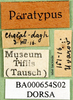 CollectionObject 1566729; e03580b2-3574-4e69-81f5-8f7fc523e98c: labels (paratype). (CollectionObject).