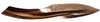 Ovipositor: Drakensbergena sp., 2nd valvula (INHS). (Observation).