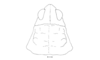 Tebacris nigrisoma Cigliano, 1989: Fig. 206. female, head and pronotum, dorsal view. (Otu).