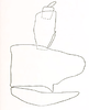 Male genital capsule, lateral view: !! display not done !! on Neocoelidia pulchella Ball, 1909: Male genital capsule, lateral view. (Observation).
