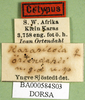 CollectionObject 1571182; e3164813-8f36-49e0-854f-6122e0c0d8ca: labels (syntype of Karasicola oertendali). (CollectionObject).