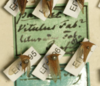 Other: !! display not done !! on Ceresa pallens (Germar, 1821): (Observation).