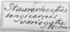Staurorhectus longicornis longicornis Giglio-Tos, 1897: Image Carbonell, C.S. label. (Otu).