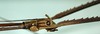 CollectionObject 1563976; 411429b1-33c4-4c19-96ec-deefb4e0c3ec: copyright J. Bresseel. male: head, lateral view (holotype). (CollectionObject).