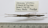 CollectionObject 1563743; 31a0be53-a6f5-4591-af23-2581e7627750: copyright FRIM. female, ventral view (paratype). (CollectionObject).;CollectionObject 1563744; 9d17e985-3744-4757-8071-626e03c20c7a: copyright FRIM. female, ventral view (paratype). (CollectionObject).
