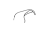 Adelotettix collaris (Bruner, 1908): Fig. 65. aedeagus, lateral view. (Otu).
